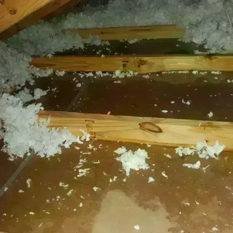 Attic Water Damage in Guttenberg, IA